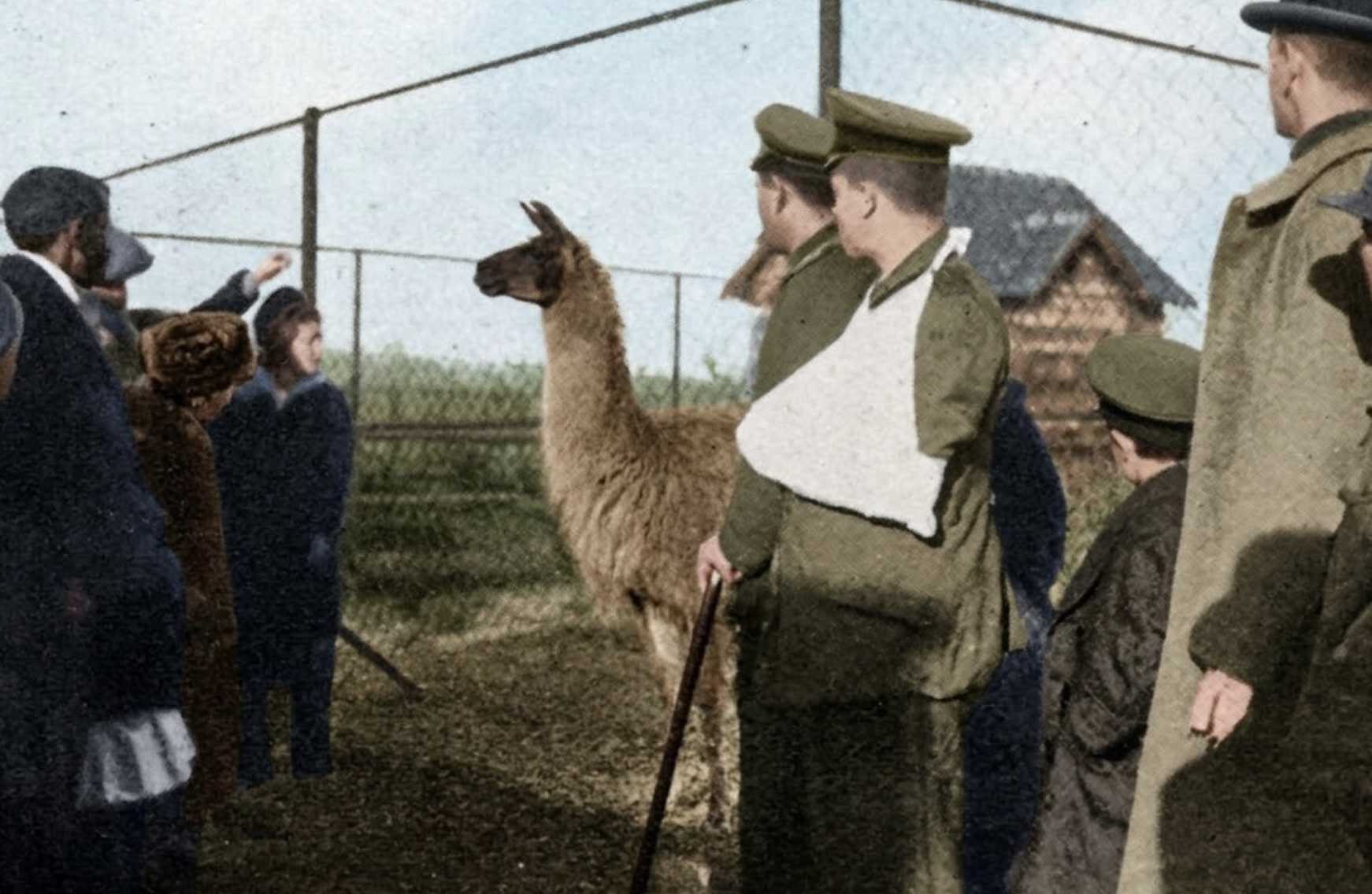 Hachel Tierpark Pforzheim – historische Ansicht, Besucher am Gehege (koloriert)